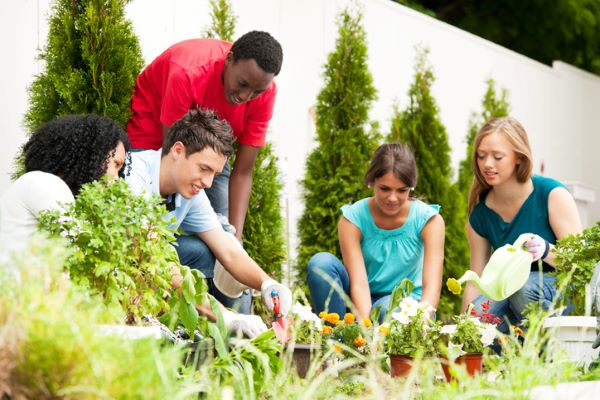 Un groupe de jeunes amis, sans doute bénévoles, mettent des fleurs en pot lors d’une belle journée ensoleillée.
